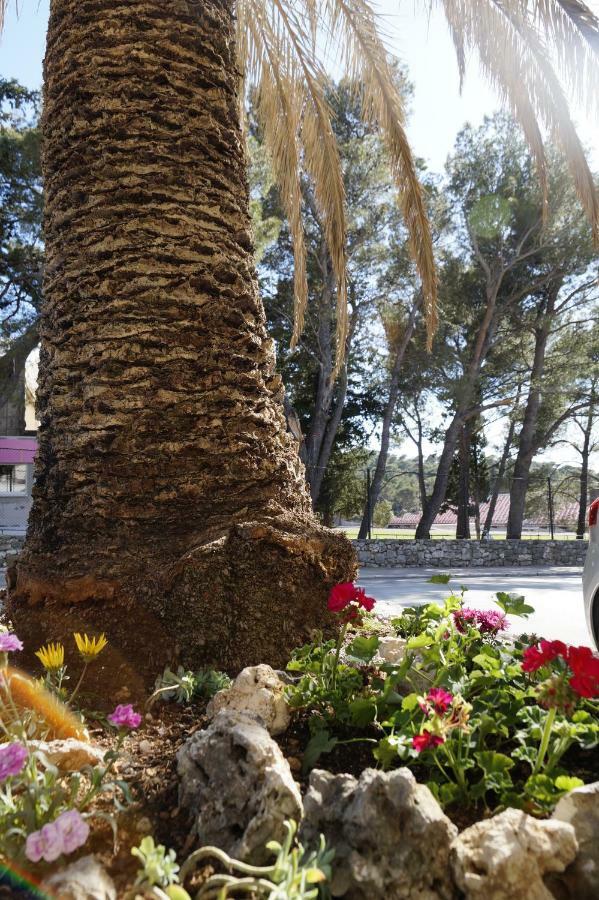 Frapedo Sport Makarska Apartamento Exterior foto